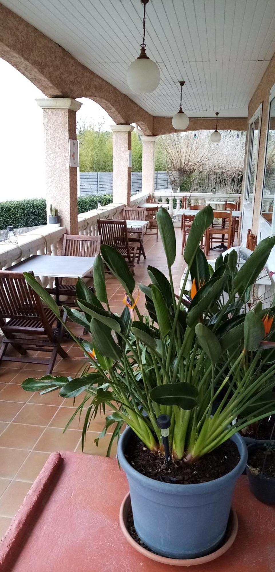 Le Grand Jardin Hotel Aujargues Ngoại thất bức ảnh